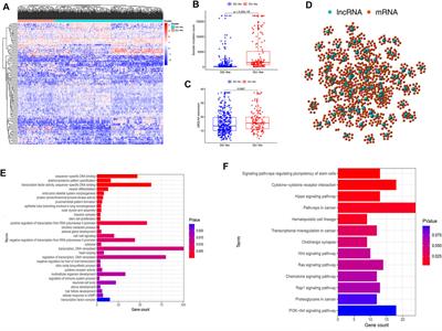 Comprehensive Analysis of the Prognostic Signature of Mutation-Derived Genome Instability-Related lncRNAs for Patients With Endometrial Cancer